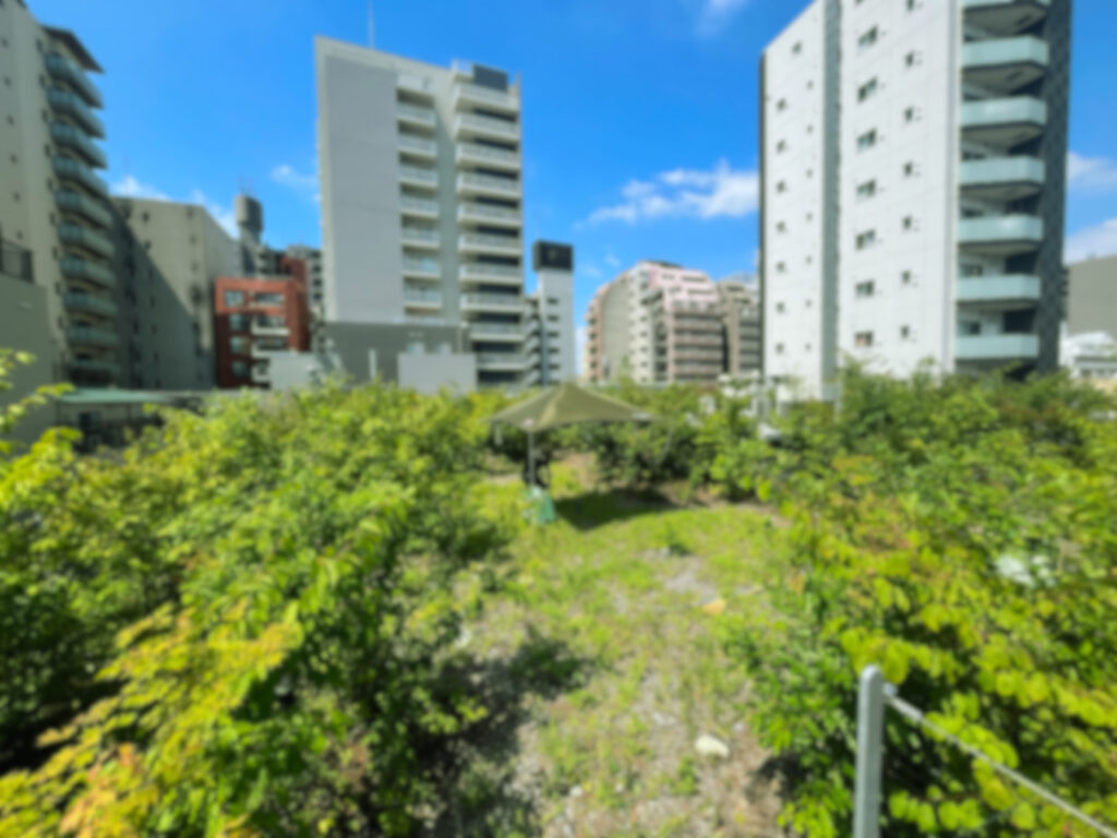 かなめのもり